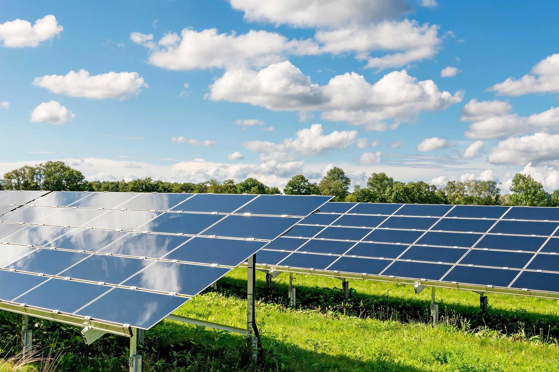 Champ de panneaux photovoltaïques installé par CBC Solutions